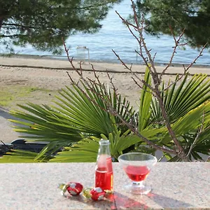 Diklo Robert Zadar